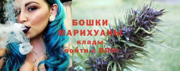 spice Богородск
